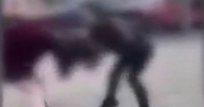Schoolgirl swung around by hair in vicious fight filmed on phone