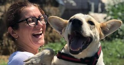 Dog who is always smiling spends five years in kennels waiting for new owner