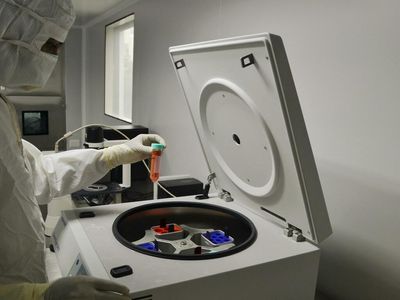 Pfizer Stock Flies Higher Following Q1 Earnings Print: Here's What To Watch For Next