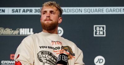 Jake Paul branded "deluded" over claim he can beat boxing legend Canelo Alvarez