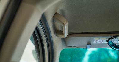 Woman discovers 'proper' use for grab handles inside car and is left amazed