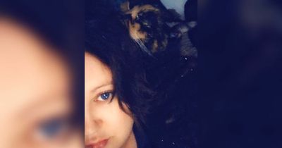 Mum warns new pet owners after she ends up 'feeding 10 stray cats'