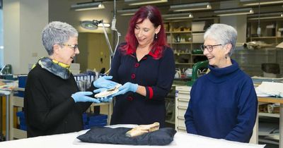 Library receives ballet shoes from dance greats