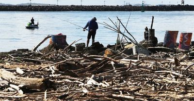 Shore is a mess: debris floods popular Newcastle beach