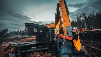 Environmentalists say logging in Tasmania has been illegal since 1987. Here's why law changes are being rushed through