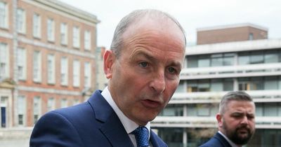 Cabinet Ministers hold off on approving National Maternity Hospital relocation proposals