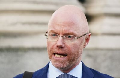 Health minister confirms delay to decision on National Maternity Hospital