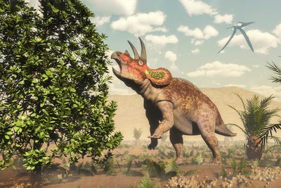 When dinosaurs died, plants thrived