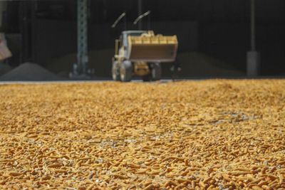 Cabinet okays zero-tariff maize deal