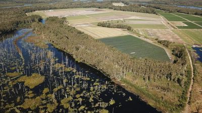 'Huge' music festival site on Sunshine Coast could attract Splendour and Bluesfest events