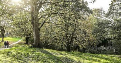 Met Office Wednesday hour-by-hour weather forecast for Leeds