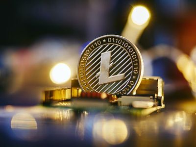 Dogecoin Pushes Litecoin Hashrate To All-Time High: 'Meme Game Is Strong'