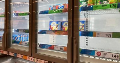 Lidl apologises for empty freezers amid 3,000 job vacancies