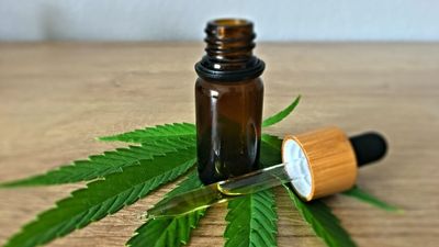 Cannabidiol – CBD oil – tested as a way to combat drug addiction in Victorian trial