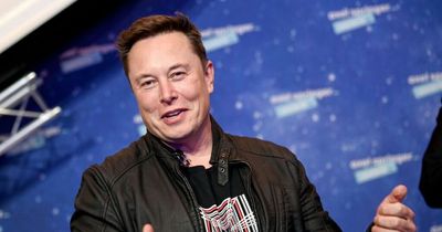 Elon Musk says businesses on Twitter could face 'slight cost' to use the platform