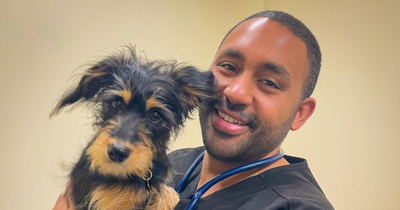 Dogs are battling depression post-Covid, claims Dublin vet