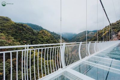World’s longest glass-bottom bridge opens in Vietnam