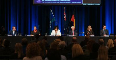 Disability inclusion report