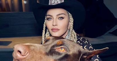 Madonna looks decades younger in flawless selfie as she poses with dog and rapper Maluma