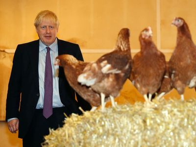 Brexit to blame for ‘crazy’ chicken prices, says poultry industry in attack on PM