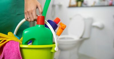 Cleaning fans share 60p trick to remove limescale and leave toilet looking good as new