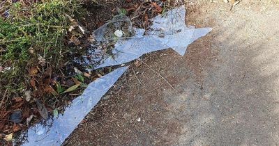 East Kilbride mum fears for kids' safety after huge shards of glass found on school footpath
