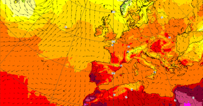 Ireland weather: Met Eireann forecast prolonged hot spell as tropical plume raises temperatures