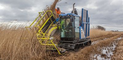 Wet agriculture could protect peatlands and climate, but remains largely unexplored