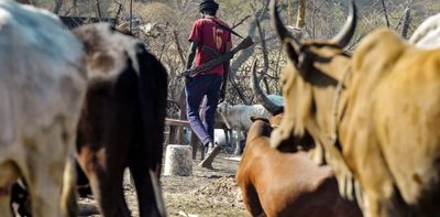 What cattle conflicts say about identity in South Sudan