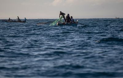 For marine biologist, Haitian gangs make work dangerous