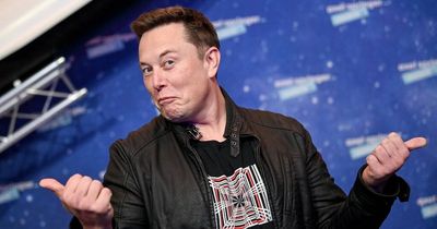 Elon Musk called to give evidence to MPs over £34.5bn Twitter takeover