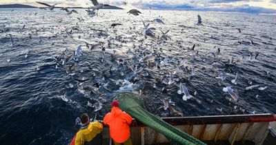 Scottish fishery protection crews ready for strike action over 'imposition' of two per cent pay rise