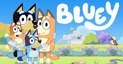 Makers of smash-hit cartoon Bluey respond to rumours saying third season will be its last