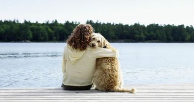 Dogs can remember their lives with previous owners, study finds