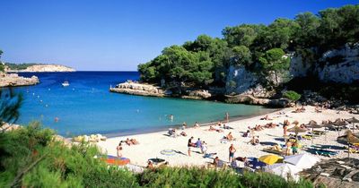 Spain holidaymakers warned to be on the lookout as snakes wake up for the summer