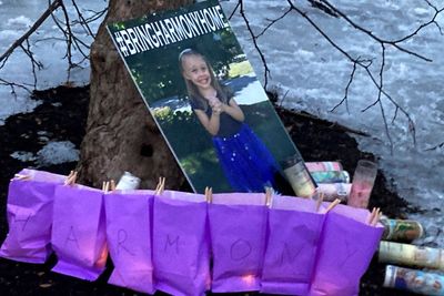 Advocate: Massachusetts system 'failed' missing girl Harmony