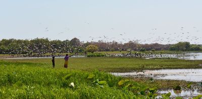 65,000 years of food scraps found at Kakadu tell a story of resilience amid changing climate, sea levels and vegetation