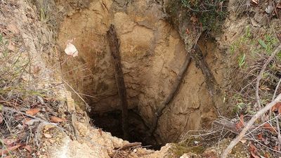 Donnybrook residents fight to stop abandoned gold mine shafts from being filled in