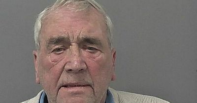 Rapist pensioner told cancer lies to groom and sexually abuse two young girls