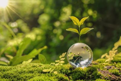 Why people, not compliance, will set the course for the future of ESG and responsible business