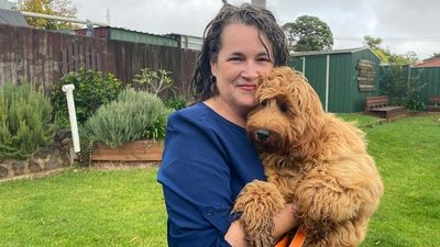 Therapy labradoodle dogs key to better outcomes for at-risk youth in court, hospitals