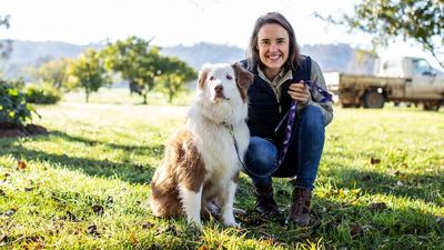 Dog food made from maggots a sustainable meal deal cooked up by former RSPCA vet