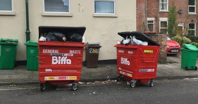 Statement after rats feasted on rotting waste left outside Nottingham chicken shop