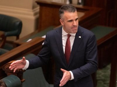 SA to withdraw Russian investments