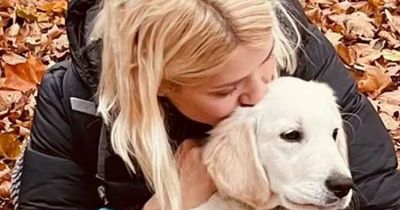 Holly Willoughby shares garden disaster as pet dog Bailey digs up flowers