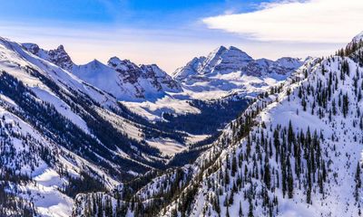 Colorado conifers given ‘Fitbits’ to measure snow cover