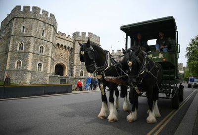 Hoppy and glorious: brewery bets on queen's jubilee beer rush