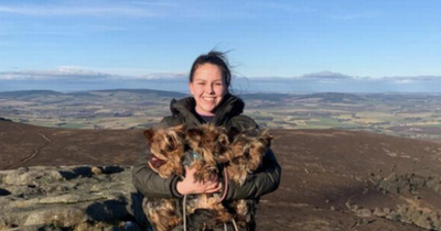 Dog rushed to Edinburgh vet to have leg amputated after adder bite on walk near river