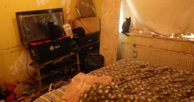 Rescuers hit with 'overpowering stench' of animal hoarder's filthy house