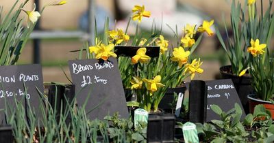 North East weather: Hour by hour weather forecast as Thursday sets to be warm and sunny